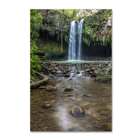 Trademark Fine Art Pierre Leclerc 'Twin Falls Sunlight ' Canvas Art, 12x19 PL0210-C1219GG